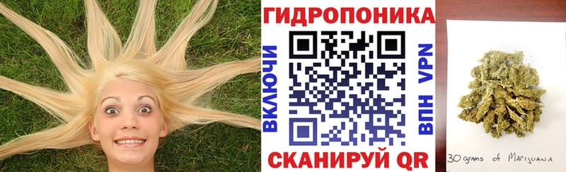 НБОМе Новоузенск