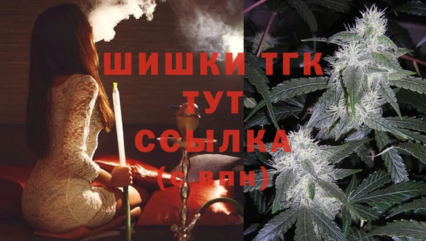 стафф Аркадак