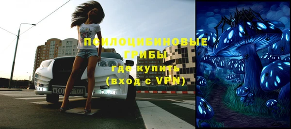 дурь Арсеньев