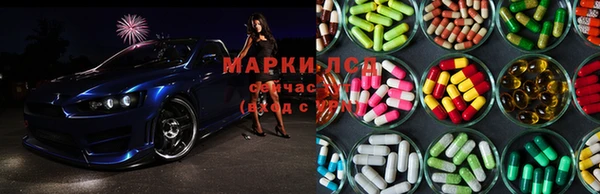 стафф Аркадак