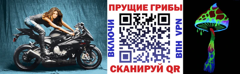 закладки  Новоузенск  Галлюциногенные грибы Psilocybine cubensis 